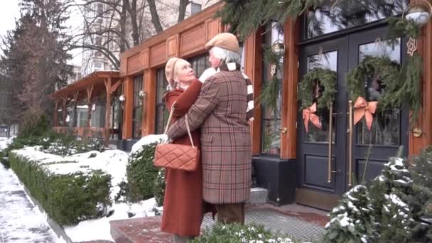 Slow Motion Happy Senior Couple Walking Park Holding Hands — Stock Video