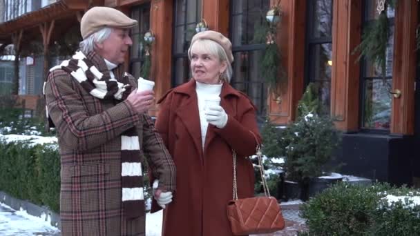 Slow Motion Senior Couple Walking City Winter — Vídeo de stock