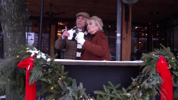 Slow Motion Senior Couple Outdoor Christmas Market — Stockvideo