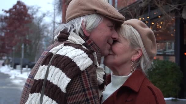 Slow Motion Szczęśliwa Para Seniorów Spacerujących Zimą Świeżym Powietrzu — Wideo stockowe