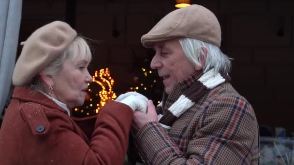 Slow Motion Happy Mature Couple Outdoors Winter Day — Vídeo de Stock