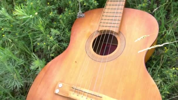 Slow Motion Guitar Lawn Summer Nature — 图库视频影像