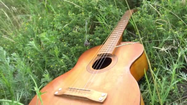 Slow Motion Guitar Grass — Stock video