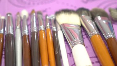 Slow Motion A lot of professional brushes for applying makeup