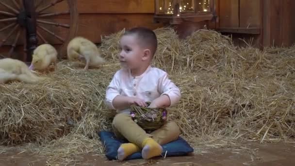 Slow Motion Little Boy Duckling — Stockvideo