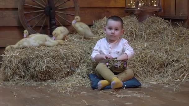 Slow Motion Boy Playing Ducklings Basket — Stockvideo
