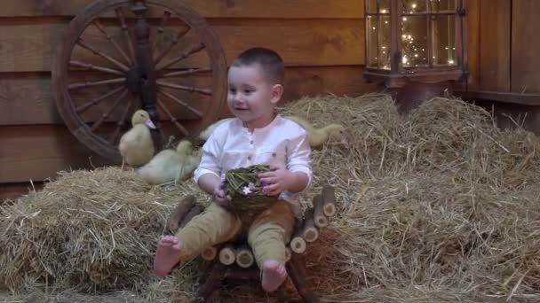 Feliz Niño Sentado Nido Con Lindos Patitos Esponjosos Pascua — Vídeos de Stock