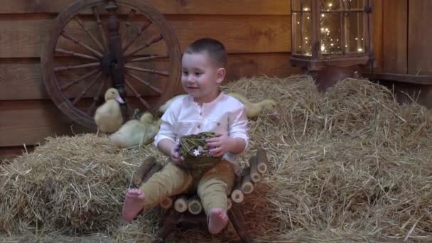 Slow Motion Cute Children Boy Playing Ducks — 비디오