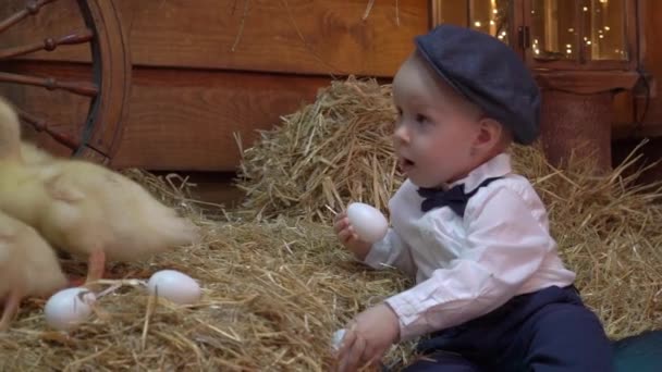 Cute Little Boy Vintage Sukienka Gra Kaczątko Dekoracje Wielkanocne — Wideo stockowe