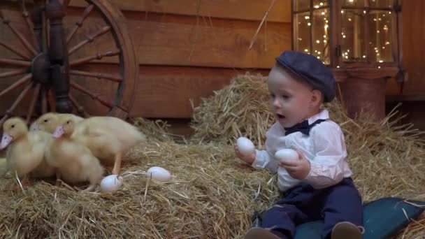 Slow Motion Niño Feliz Juega Con Patitos Pascua Esponjosos Lindo — Vídeos de Stock