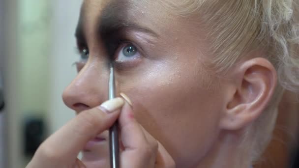 Slow Motion Professional Makeup Artist Doing Eyebrows Female Client — стоковое видео