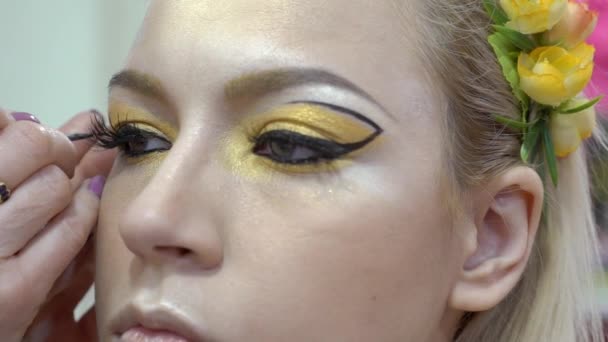 Slow Motion Makeup Artist Applies Eyeliner Beautiful Woman Face — 图库视频影像