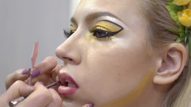 Slow Motion Makeup Artist Making Professional Make Applying Lipstick — Vídeo de Stock