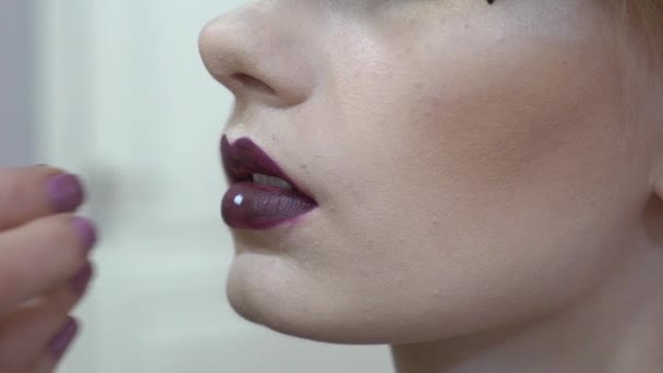 Slow Motion Makeup Artist Applies Red Lipstick Beautiful Woman Face — Wideo stockowe