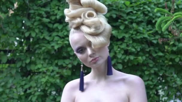 Slow Motion Professional Make Hairstyle Stylish Woman — 비디오