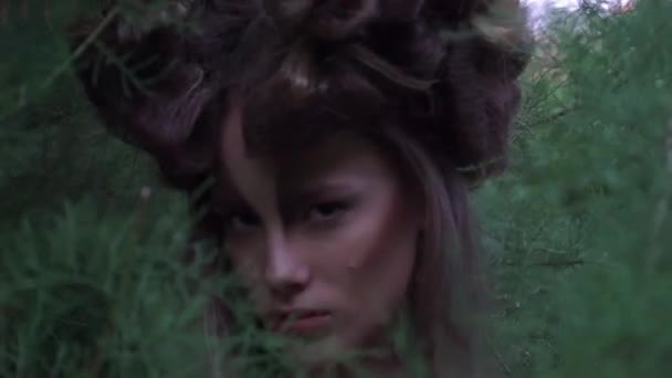 Femme Elfe Dans Une Forêt Magique — Video