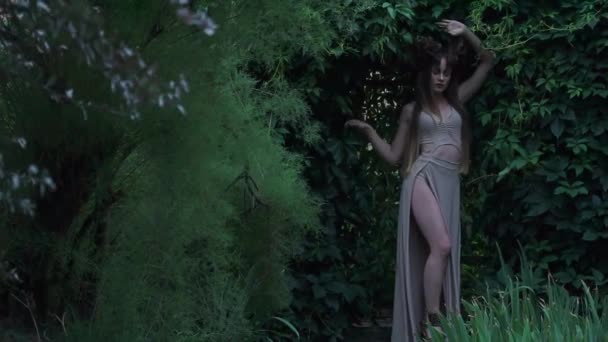 Pretty Young Woman Backdrop Magical Forest Woods — Vídeo de Stock