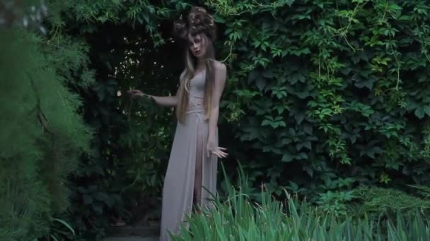 Slow Motion Elf Princess Vintage Queen Nature — Stockvideo