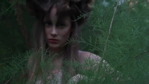 Elf Beautiful Girl Fantasy Young Woman Woods — Stok video
