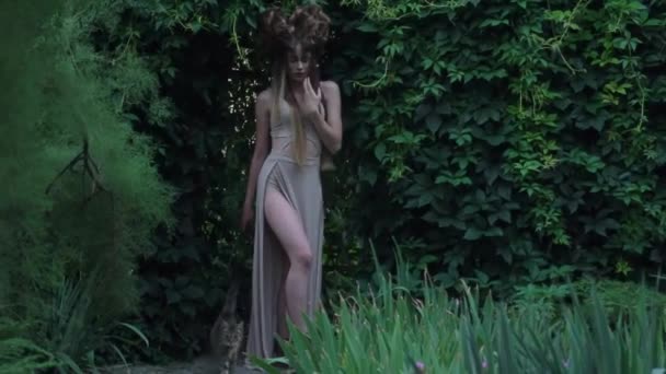 Brunette Girl Mavka Dryad Naiad Forest Nymph Fairy Tale — Stockvideo