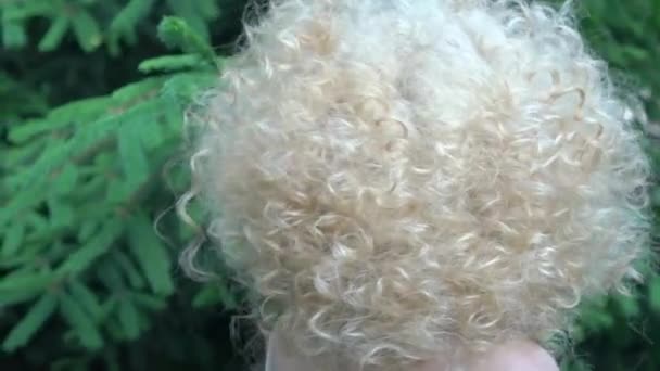 Beautiful Woman Smiling Blonde Curly Hair Laughs Afro Hairstyle — Vídeo de Stock