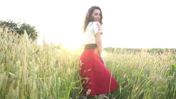 Αργή Κίνηση Ουκρανικό Κορίτσι Παραδοσιακή Φορεσιά Ένα Χωράφι Σιτάρι — Αρχείο Βίντεο