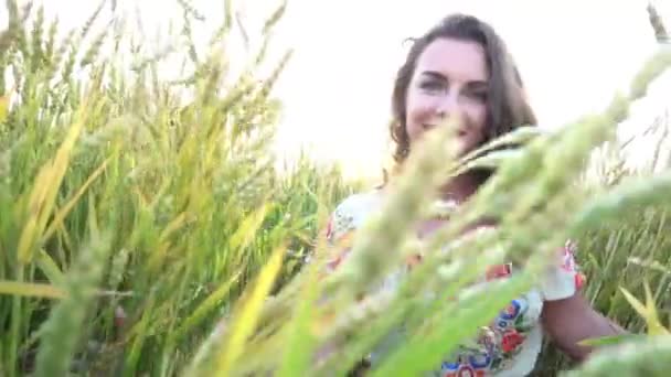 Porträt Des Mädchens Der Ukrainischen Nationalkleidung Weizenfeld — Stockvideo
