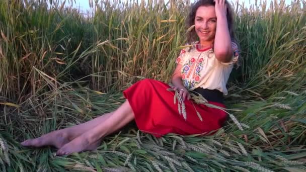 Slow Motion Beautiful Smiling Girl Ukrainian Shirt Barley Field — Stok video