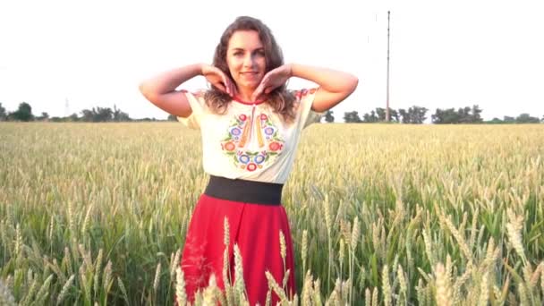 Slow Motion Ukrainian Girl Summer Field — Video Stock