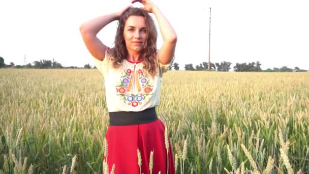 Young Woman Folk Traditional Costume Golden Wheat Field — Video Stock