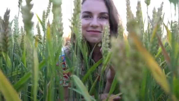 Młoda Kobieta Polu Spogląda Przez Długą Trawę Patrząc Kamerę — Wideo stockowe