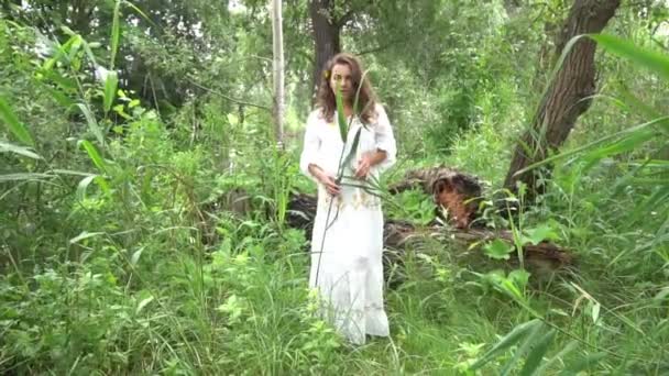 ปภาพของหญ งสาวในช ขาวท สวยงามในสวนฤด อนส — วีดีโอสต็อก