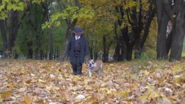 Ağır çekim. Siyah takım elbiseli bir çocuk elinde bir köpekle sonbahar parkında yürüyor..