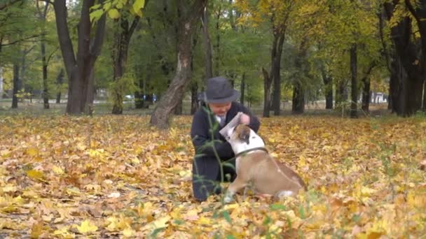 Slow Motion Boy Black Suit Newspaper Dog Bulldog Park — Wideo stockowe