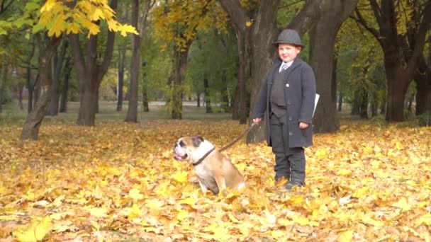 Slow Motion Boy Dog Black Suit Bulldog Fall — 图库视频影像