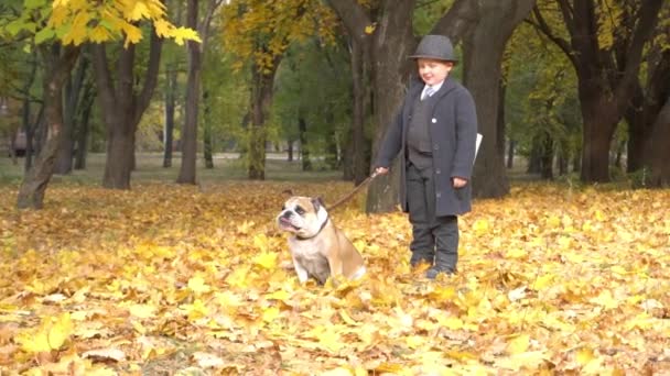 Boy Business Suit Newspaper Autumn Park Bulldog — 图库视频影像