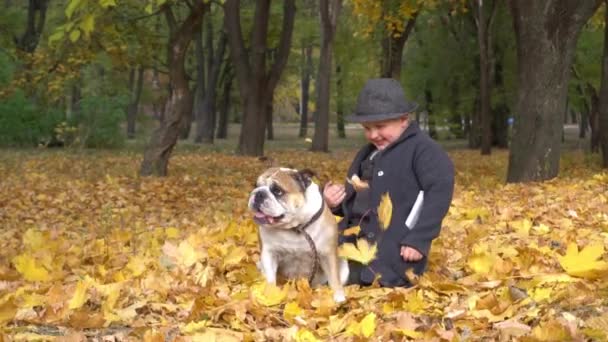 Slow Motion Boy Schwarzen Anzug Spielt Mit Hund Bulldog Herbstpark — Stockvideo