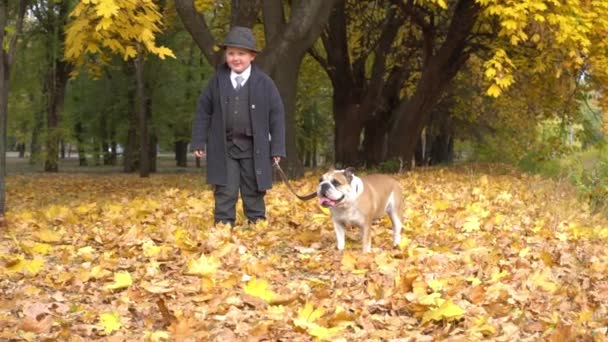 Slow Motion Little Boy Black Suit Walking Dog Bulldog Autumn — 图库视频影像