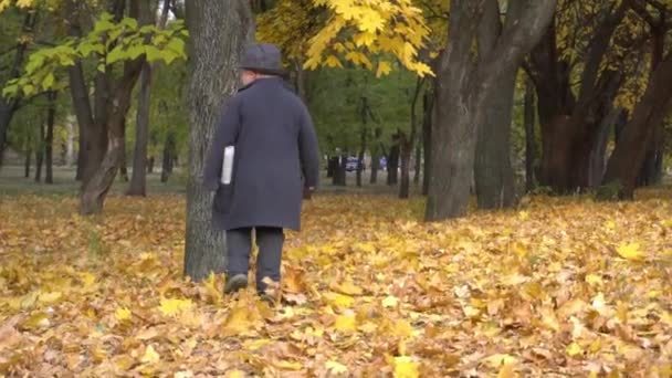 Young Boy Black Suit Take Newspaper Autumn Park — Stock Video
