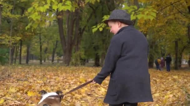 Autumn Walk Black Suit Pet Bulldog Park — Wideo stockowe