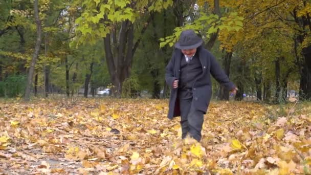 Slow Motion Little Child Black Suit Having Fun Autumn Park — Vídeos de Stock