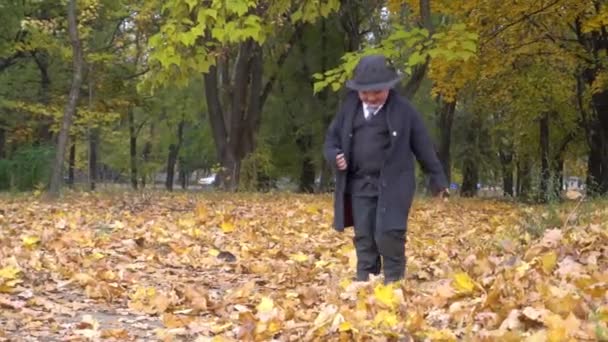 Мальчик Элегантном Костюме Шляпе Прогуливается Красивому Осеннему Парку — стоковое видео