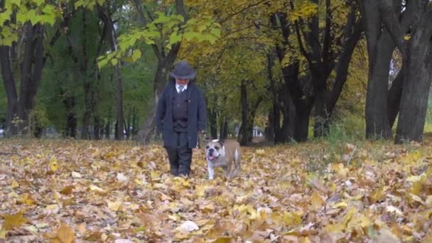 슬로우 모션검은 양복을 어린이 공원에서 강아지와 — 비디오