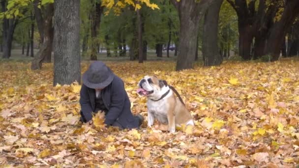 Slow Motion Cute Child Leaves Sitting Autumn Park His Pet — Wideo stockowe