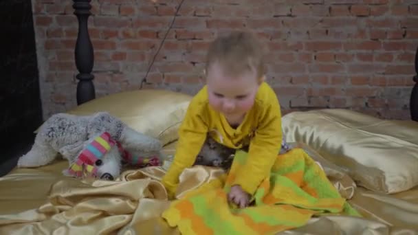 Little Cute Girl Playing Bed Home Bedroom — Wideo stockowe
