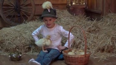 Yavaş hareket eden çocuk sarı ördek yavrularıyla samanlıkta 