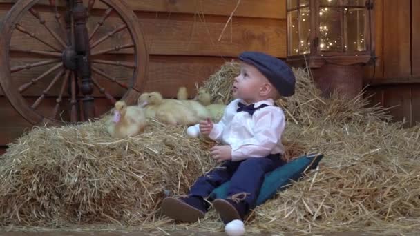 Slow Motion Fun Day Company Ducklings Rabbit Smiling Boy — Stok video