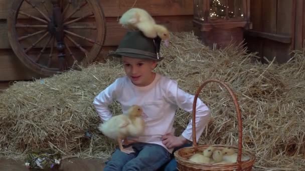 Pequeño Niño Hermoso Decoración Pascua Con Sombrero Con Pequeño Pato — Vídeo de stock