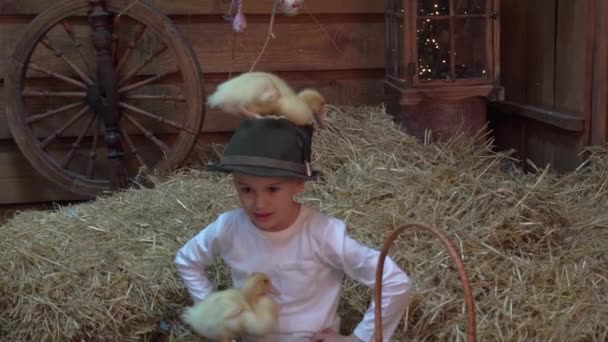 Little Boy Strawhat Sits Haystack Ducklings Easter Decorations — Wideo stockowe
