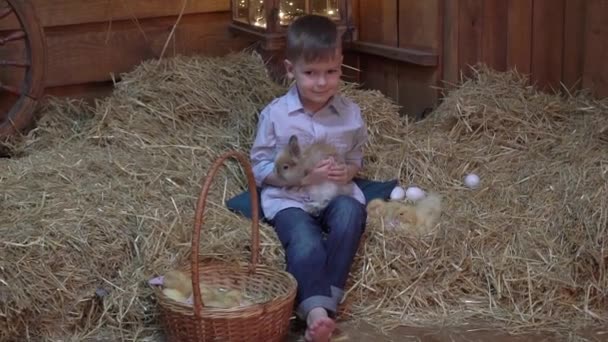 Slow Motion Little Boy Son Rabbit Ducks Sitting Hay — Stockvideo